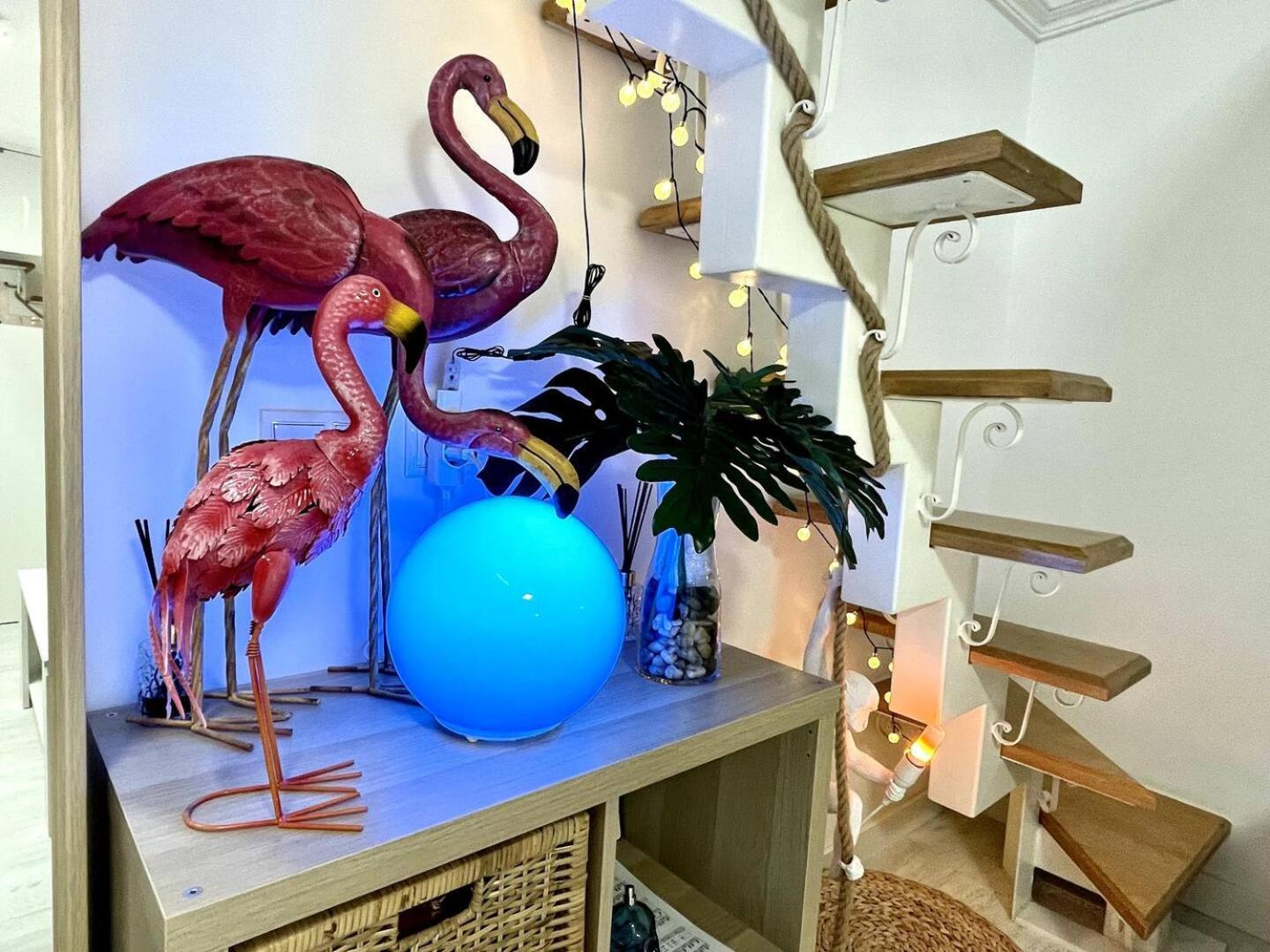 Los Flamencos, Malasana Loft Madrid 45Mq المظهر الخارجي الصورة