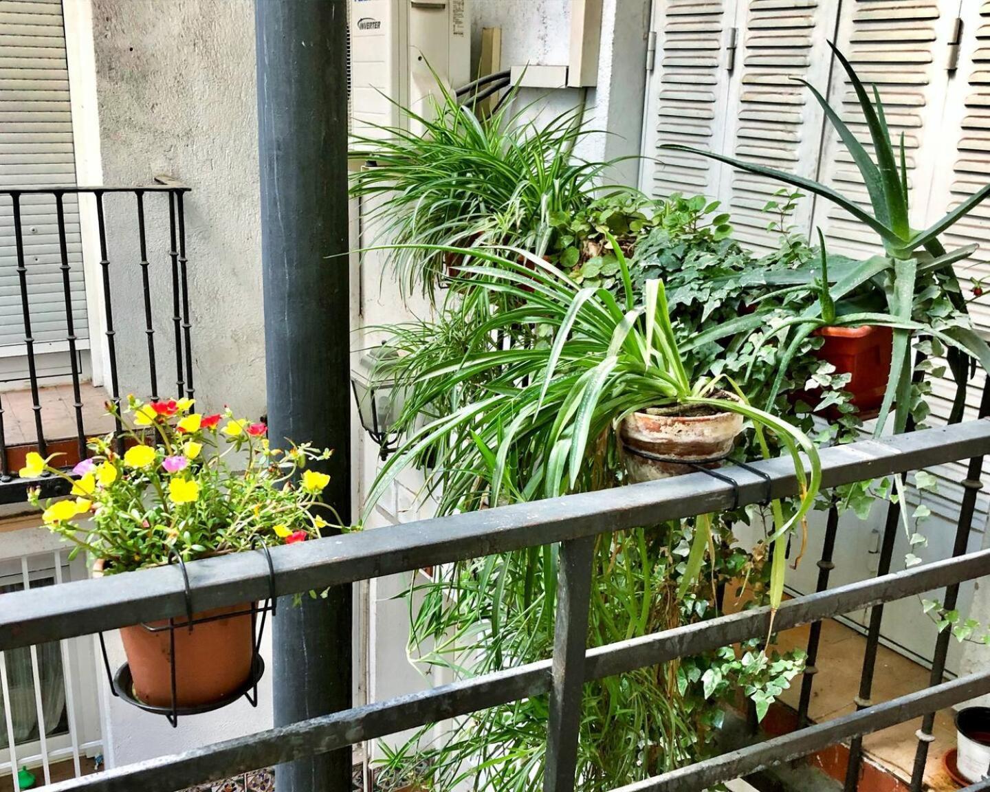 Los Flamencos, Malasana Loft Madrid 45Mq المظهر الخارجي الصورة
