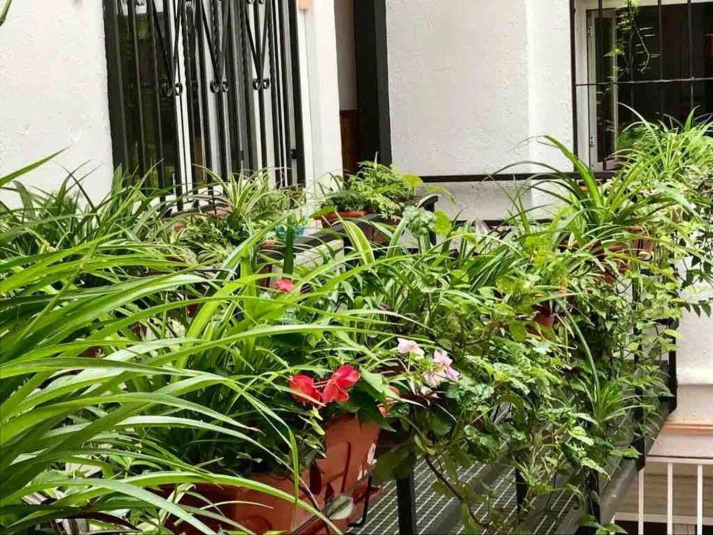 Los Flamencos, Malasana Loft Madrid 45Mq المظهر الخارجي الصورة