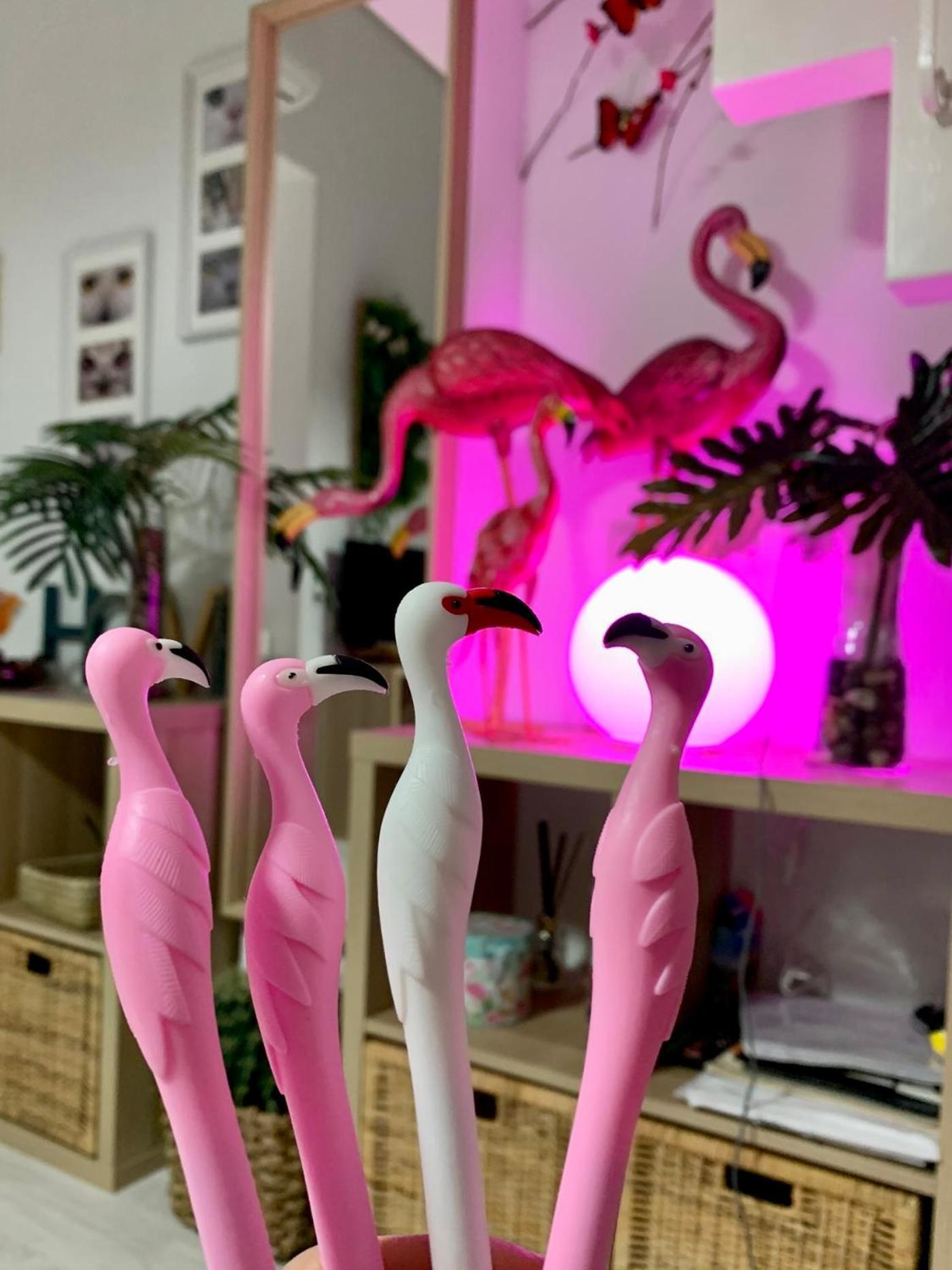 Los Flamencos, Malasana Loft Madrid 45Mq المظهر الخارجي الصورة